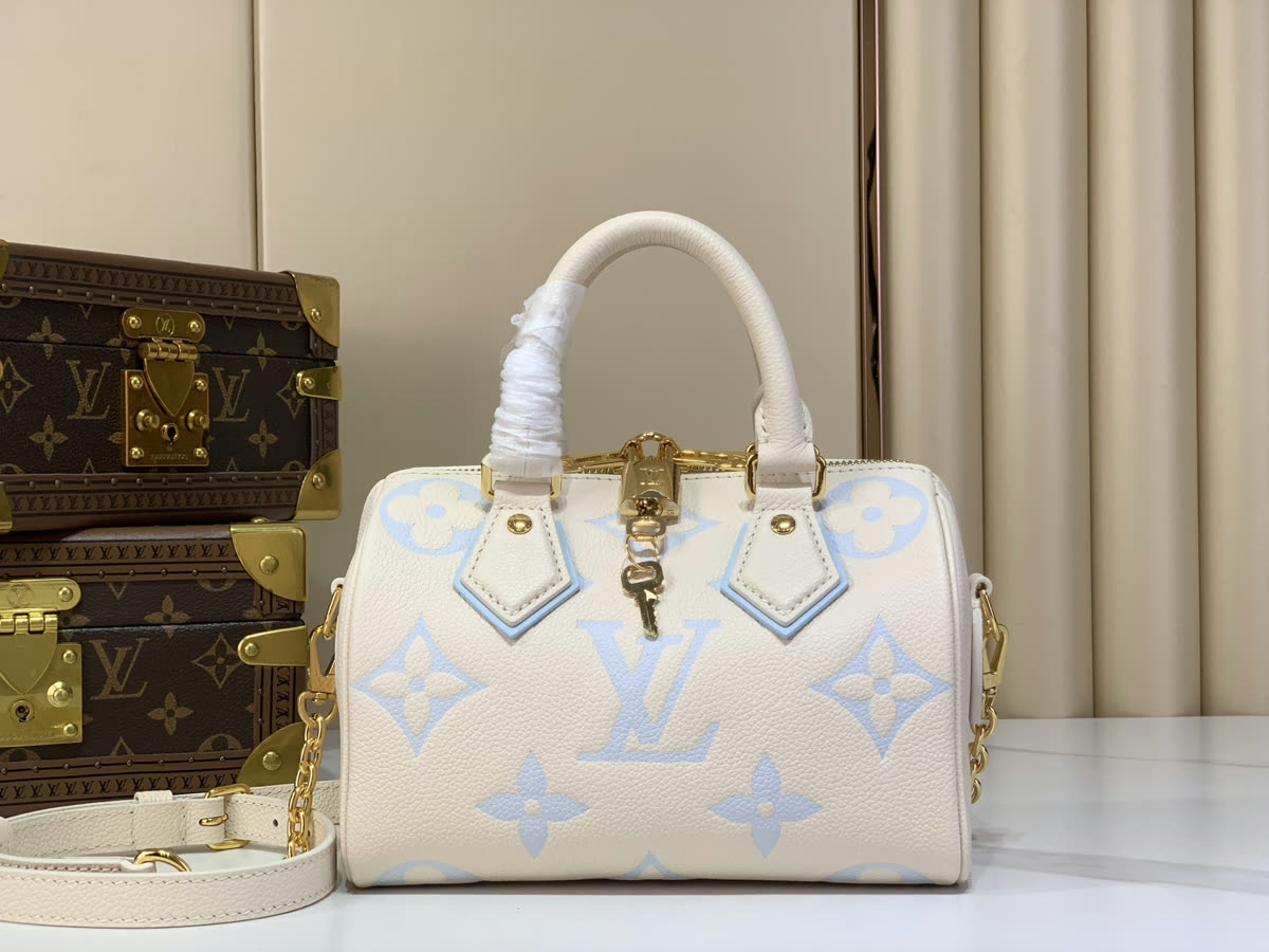 Louis Vuitton bag style